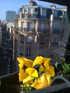 The view from my apt, nice flower eh?